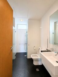 Oasis @ Elias (D18), Condominium #580642571